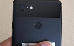 Pixel 3 XL lộ ảnh thiết kế mặt sau: vui buồn lẫn lộn