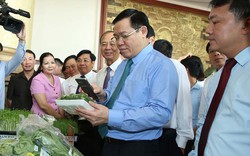 Phó Thủ tướng Vương Đình Huệ nếm vải thiều ngon nhất trong lịch sử ở Lục Ngạn