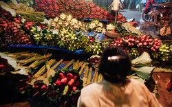 Chùm ảnh: Tháng 6, hoa sen "thống lĩnh" tại chợ đêm Quảng Bá