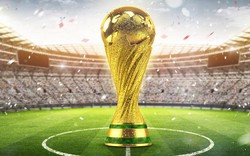 Nếu Việt Nam để tràn sóng World Cup 2018, FIFA sẽ cắt sóng bất kỳ lúc nào