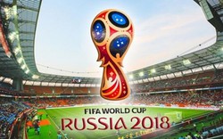 Gói bản quyền World Cup tại Việt Nam gồm những hạng mục gì?