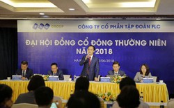 Tập đoàn FLC đạt tăng trưởng doanh thu 87,8% năm 2017