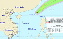 Tin mới nhất: Xuất hiện áp thấp nhiệt đới trên biển Đông