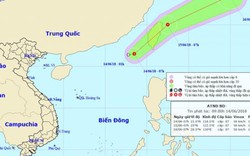 Xuất hiện áp thấp nhiệt đới giật cấp 9 trên Biển Đông