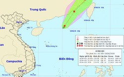 Thêm một áp thấp nhiệt đới giật cấp 8 xuất hiện trên Biển Đông