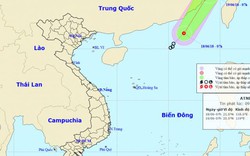 Tin mới nhận: Áp thấp nhiệt đới giật cấp 8 xuất hiện trên Biển Đông