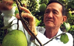 Chủ tịch Hội Cựu chiến binh “cáo quan” về vườn cùng nông dân làm giàu