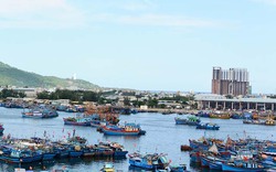 Để cảng cá xanh trong, sạch mùi hãy học kinh nghiệm của Đà Nẵng
