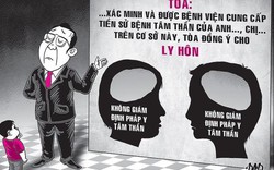 Phía sau tòa án: Nỗi đau vợ chồng tâm thần ly hôn