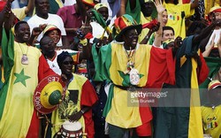 Rực rỡ sắc màu của các CĐV Senegal