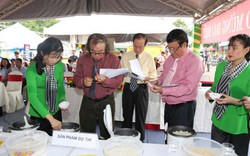 Lần đầu tổ chức lễ hội lúa gạo và triển lãm NNƯDCNC vùng ĐBSCL