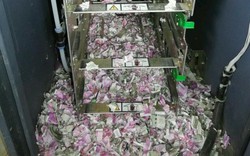 “Xót ruột” cảnh 400 triệu đồng trong máy ATM bị chuột nhai nát