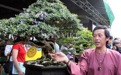 Danh hài Hoài Linh giật giải nhất cuộc thi hoa kiểng bonsai