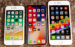 Nếu phải "phản bội" Android, bạn sẽ chọn mua iPhone nào?