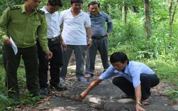 Kiên Giang: Một con kỳ đà hoa nặng 11kg bất ngờ bò vào trụ sở huyện