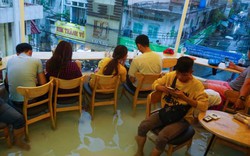 Trải nghiệm quán cà phê có cá bơi lội ngay dưới chân ở Sài Gòn