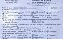 CẬP NHẬT đáp án đầy đủ tất cả mã đề môn Sinh học THPT Quốc gia 2018