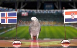 Clip dự đoán trận Iceland vs Croatia: "Tiên tri" động vật bị làm khó