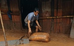 Điện Biên: Mường Nhé tan hoang sau đợt lũ lịch sử
