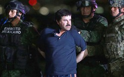 Trùm ma túy El Chapo giàu nhất thế giới nguy hiểm đến mức nào?