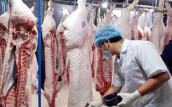 Mỗi tháng xuất khẩu 26 tấn thịt lợn, giá bán cao "như mơ"