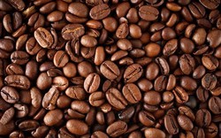 Giá nông sản hôm nay 28/6: Giá cà phê tăng tiếp 400 đồng/kg, giá tiêu tăng nhẹ