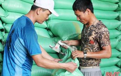 Thú vị ở Hà Tĩnh: Giúp dân bán lúa, người dùng được ăn bún ngon
