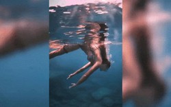Video: Bạch tuộc khôn lỏi "bám dính" người đẹp lặn biển