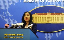 Phản ứng mới nhất của Việt Nam sau phán quyết Đoàn Thị Hương