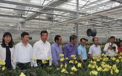 Việt Nam đứng thứ 3 thế giới về nhập hoa: Lãng phí số tiền khổng lồ