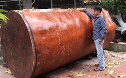 "Dung nhan" khúc gỗ dài 3m được đại gia Hải Phòng trả gần 4 tỷ đồng