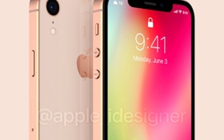 Lác mắt với ảnh iPhone SE 2: Phiên bản thu nhỏ của iPhone X