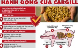 Dịch tả lợn châu Phi – làm gì để người chăn nuôi vượt qua khó khăn?