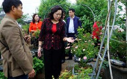 Mê Linh sẽ "thăng hạng" huyện nông thôn mới năm 2020