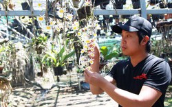 Lâm Đồng: Hotboy bán lan rừng online thu cả tỷ đồng