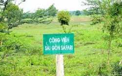 Thanh tra Chính phủ: Thất thoát hơn 104 tỷ tại dự án Safari