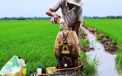 Cân nhắc loại bỏ thuốc trừ cỏ chứa hoạt chất Glyphosate