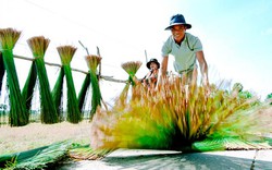 Kiên Giang: Nhổ cỏ dại đan thành giỏ, nón, bán sang Tây