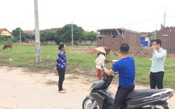 "Tôi bất lực nhìn đàn chó dữ tấn công cháu bé"