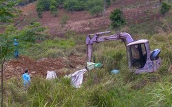 Mộc Châu: Xuất hiện dịch tả lợn châu Phi tại tiểu khu Nhà nghỉ