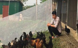 Clip: Start-up bảo tồn gà đen H'Mông của chàng sinh viên nông nghiệp