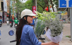 Hoa loa kèn cao nửa mét, giá trăm ngàn khiến người Sài Gòn lặn lội ra Hà Nội mua