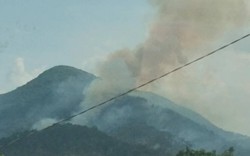 Cháy rừng dữ dội ở Gia Lai, 70 người tham gia dập lửa