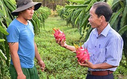 Kiểm tra, giám sát - lợi cho Hội, tốt cho nông dân