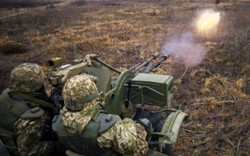 Chiến sự Donbas: Mỹ, EU lo ngại sự hiện diện quân sự của Nga