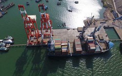 Lùm xùm’ cảng Quy Nhơn: Công ty Hợp Thành khai ‘khống vốn’ làm trái lệnh