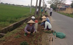 “Ngày Chủ nhật xanh” làm đẹp làng xã của dân Mỹ Lộc