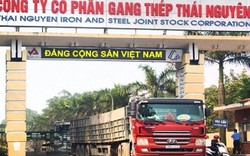 "Sếp" Thái Hưng rút lui, ghế Chủ tịch HĐQT Gang thép Thái Nguyên chờ chủ mới