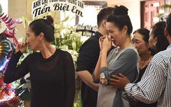 Sao Việt nghẹn nước mắt khóc thương viếng tang nghệ sĩ Anh Vũ