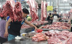 Giá heo hơi 11/4: Miền Nam tăng mạnh 7.000 đ/kg, Công ty C.P duy trì 85.000 lợn nái